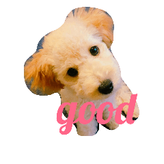 [LINEスタンプ] 今日の空くん
