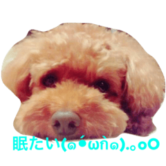 [LINEスタンプ] インディだワン！