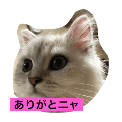 [LINEスタンプ] churasan