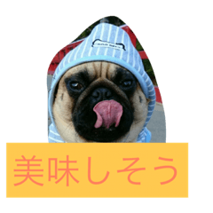 [LINEスタンプ] I'm home momo