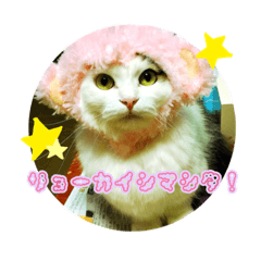 [LINEスタンプ] ともぐりちゃん2