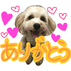 [LINEスタンプ] まるぷー☆こてつ