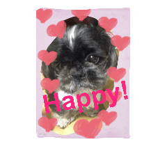 [LINEスタンプ] My dog think word.