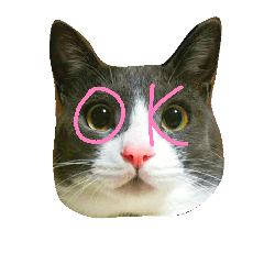[LINEスタンプ] ぽっけさん2
