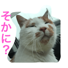[LINEスタンプ] びび＆へいじ