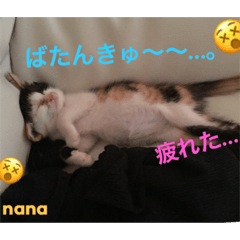 [LINEスタンプ] 三毛猫nana4