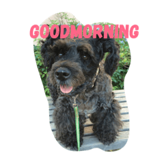 [LINEスタンプ] rontlgntrk