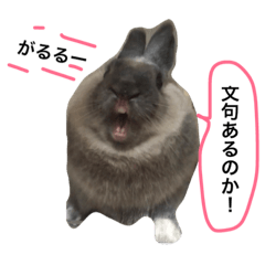 [LINEスタンプ] 我が家のうさぎたち2