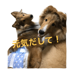 [LINEスタンプ] ティアラとレディ