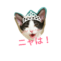 [LINEスタンプ] むふみぃた 2
