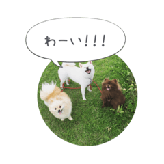 [LINEスタンプ] pino with funny friends