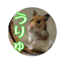 [LINEスタンプ] たすたすたんぷ