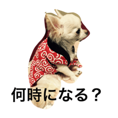 [LINEスタンプ] nijinohashinomomo