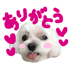 [LINEスタンプ] しろいぬくん2