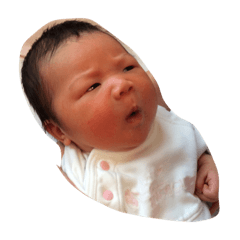 [LINEスタンプ] kikokikokiko201661