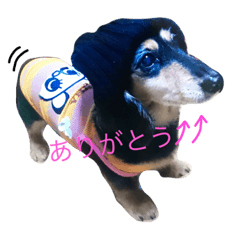 [LINEスタンプ] Rock69