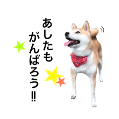 [LINEスタンプ] のんびり那々の日常
