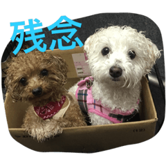 [LINEスタンプ] レオン❤︎アレン2