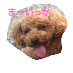 [LINEスタンプ] Lonly jera