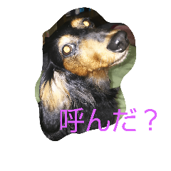 [LINEスタンプ] チャロ＆ラリマー