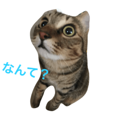 [LINEスタンプ] ロトの冒険