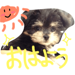 [LINEスタンプ] ワンスタンプ
