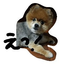 [LINEスタンプ] ラブちゃんの日常3