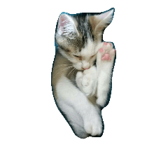 [LINEスタンプ] 猫3兄弟