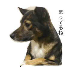 [LINEスタンプ] ロン様の癒し