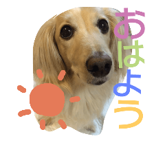 [LINEスタンプ] くきおの毎日