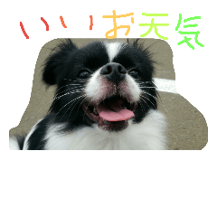 [LINEスタンプ] モコたんの日常(U´・ェ・)