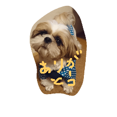 [LINEスタンプ] wasabichan