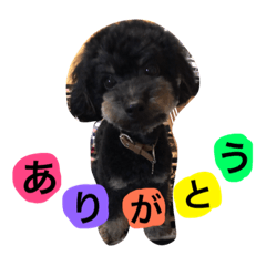 [LINEスタンプ] daichinosutanp