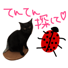 [LINEスタンプ] 菅原家の動物達2