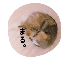 [LINEスタンプ] ぽーちゃんたち①