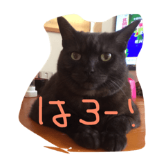 [LINEスタンプ] しゃびと仲間たち