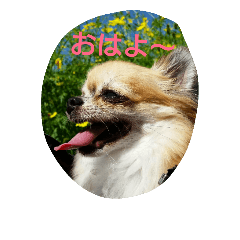 [LINEスタンプ] apoooo