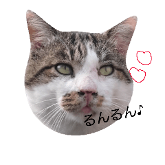 [LINEスタンプ] まんまる劇場②