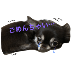[LINEスタンプ] トコきち2