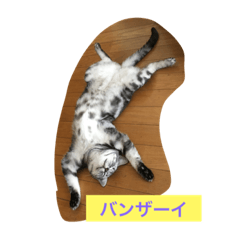 [LINEスタンプ] lovely Kiki 2の画像（メイン）