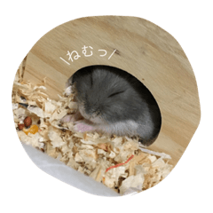 [LINEスタンプ] 頭を使わないスタンプ