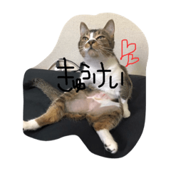 [LINEスタンプ] negima！2