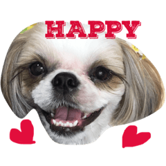 [LINEスタンプ] COCOSTYLELOVE2