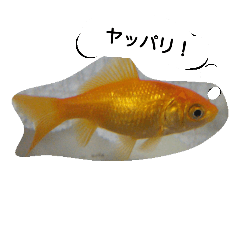[LINEスタンプ] unazuki fish