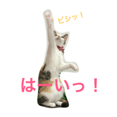 [LINEスタンプ] シャロっぺ