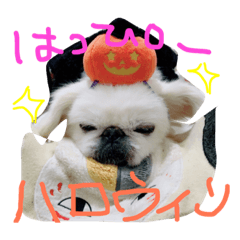 [LINEスタンプ] ペキニーズのめるちゃん②
