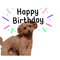 [LINEスタンプ] もぴもぴもぴ