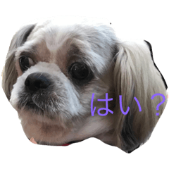 [LINEスタンプ] Mocha's stamp