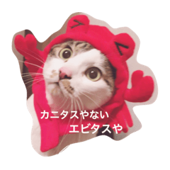 [LINEスタンプ] エビタス