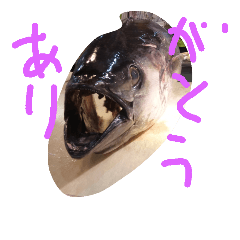 [LINEスタンプ] magurodayo